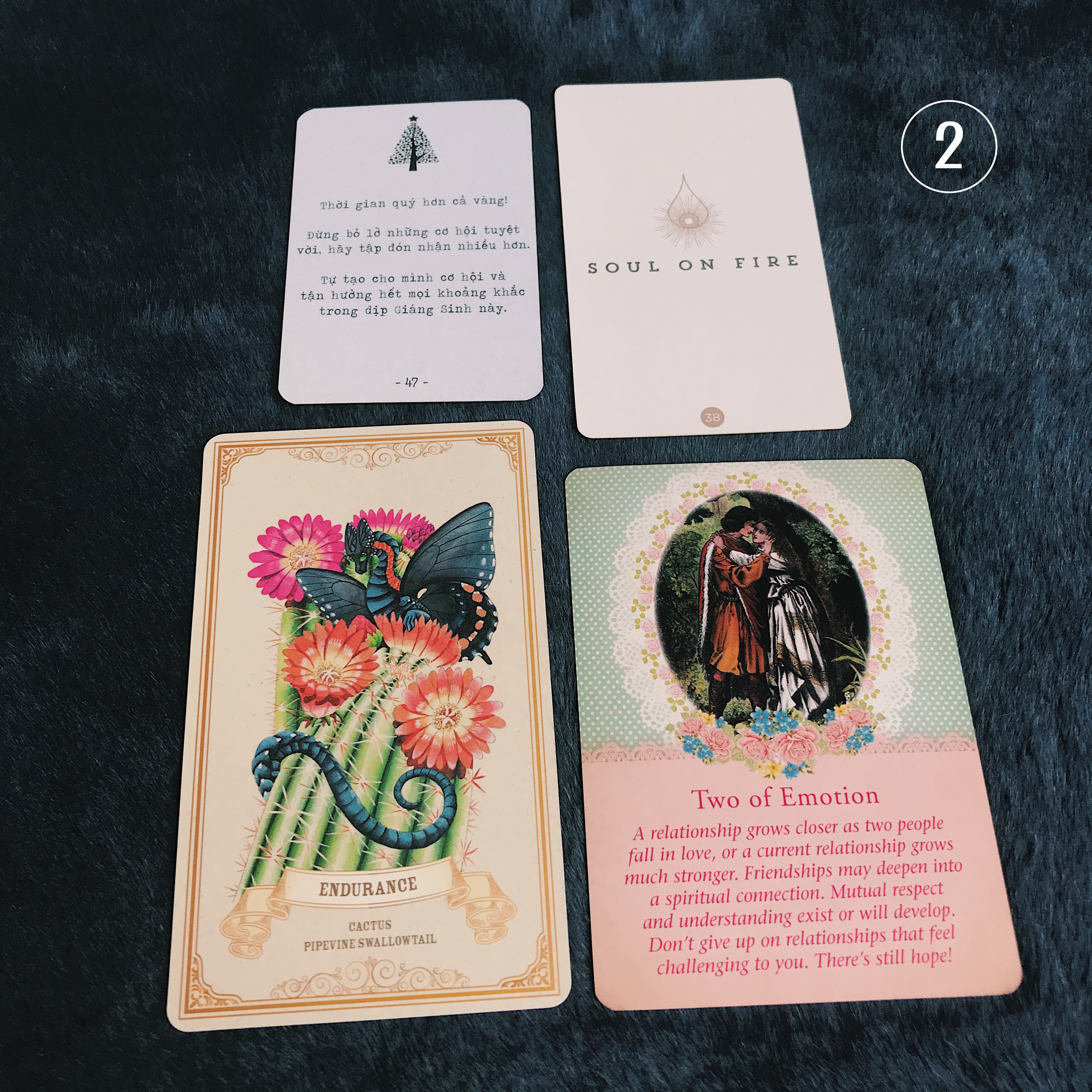 Rút Bài Oracle: Phép Màu Đêm Giáng Sinh – Điều Gì Đang Đến Với Bạn?