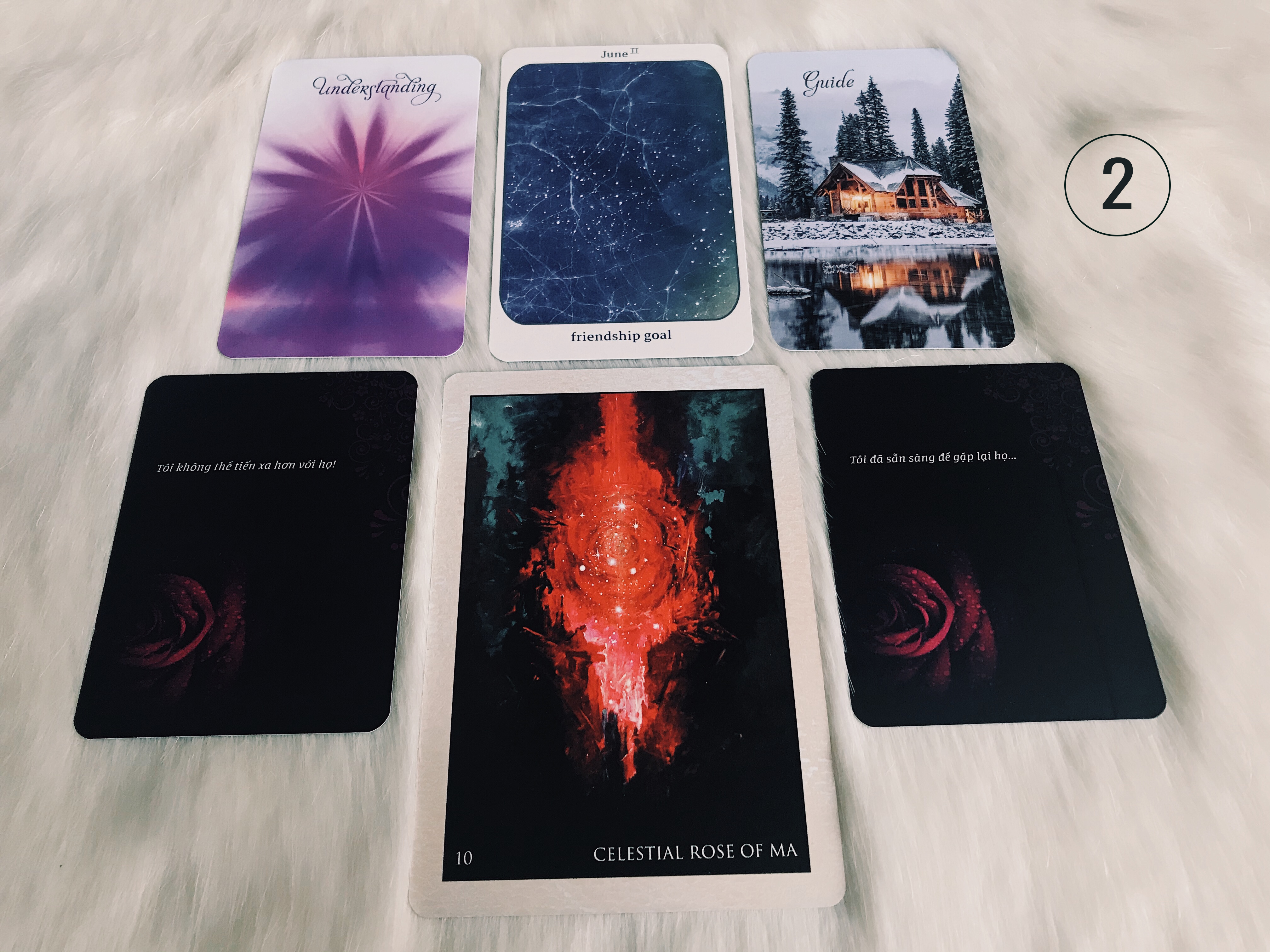 Rút Bài Oracle: Bạn Và Họ Có Nên Làm Lại Từ Đầu?
