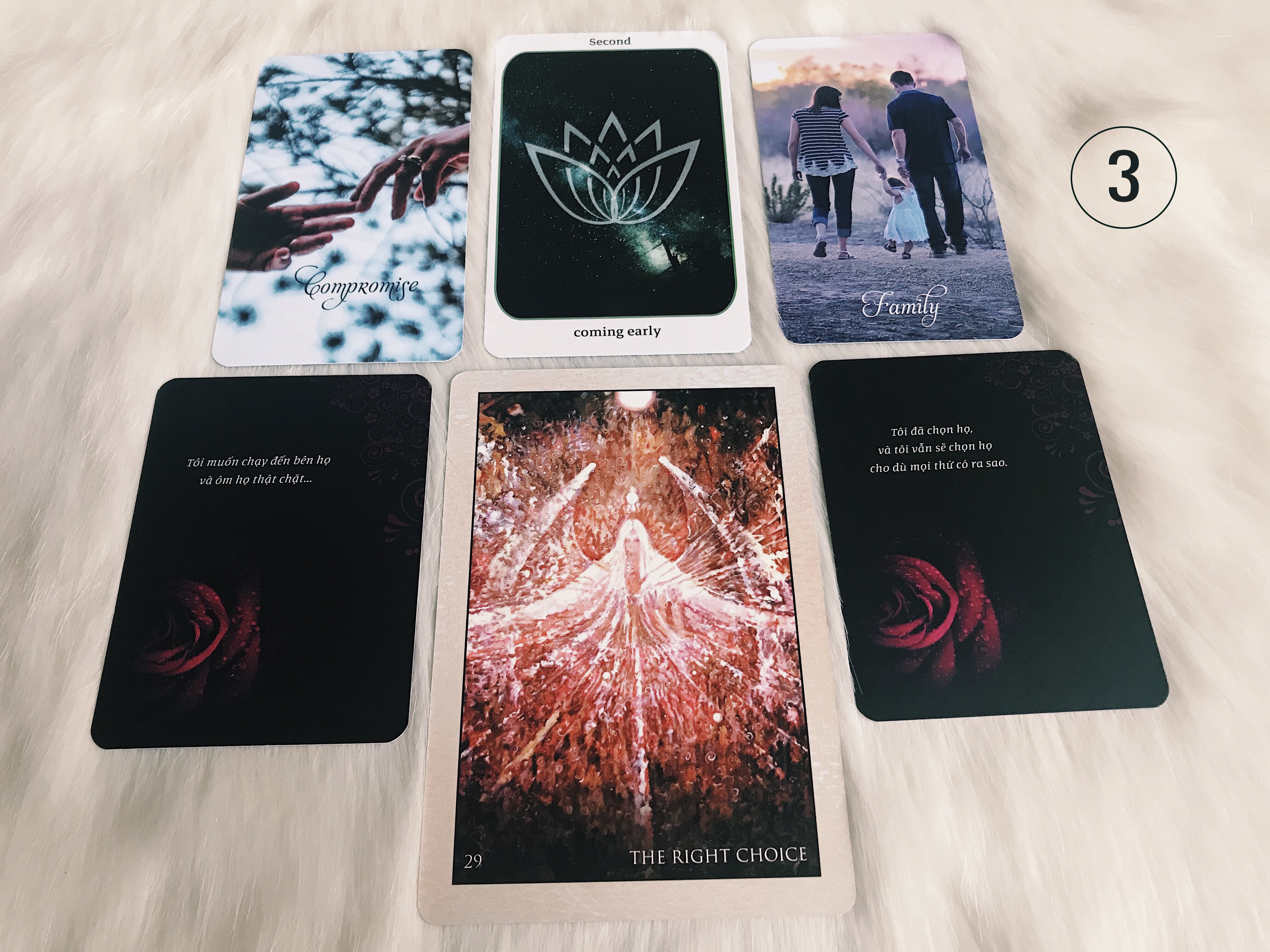 Rút Bài Oracle: Bạn Và Họ Có Nên Làm Lại Từ Đầu?