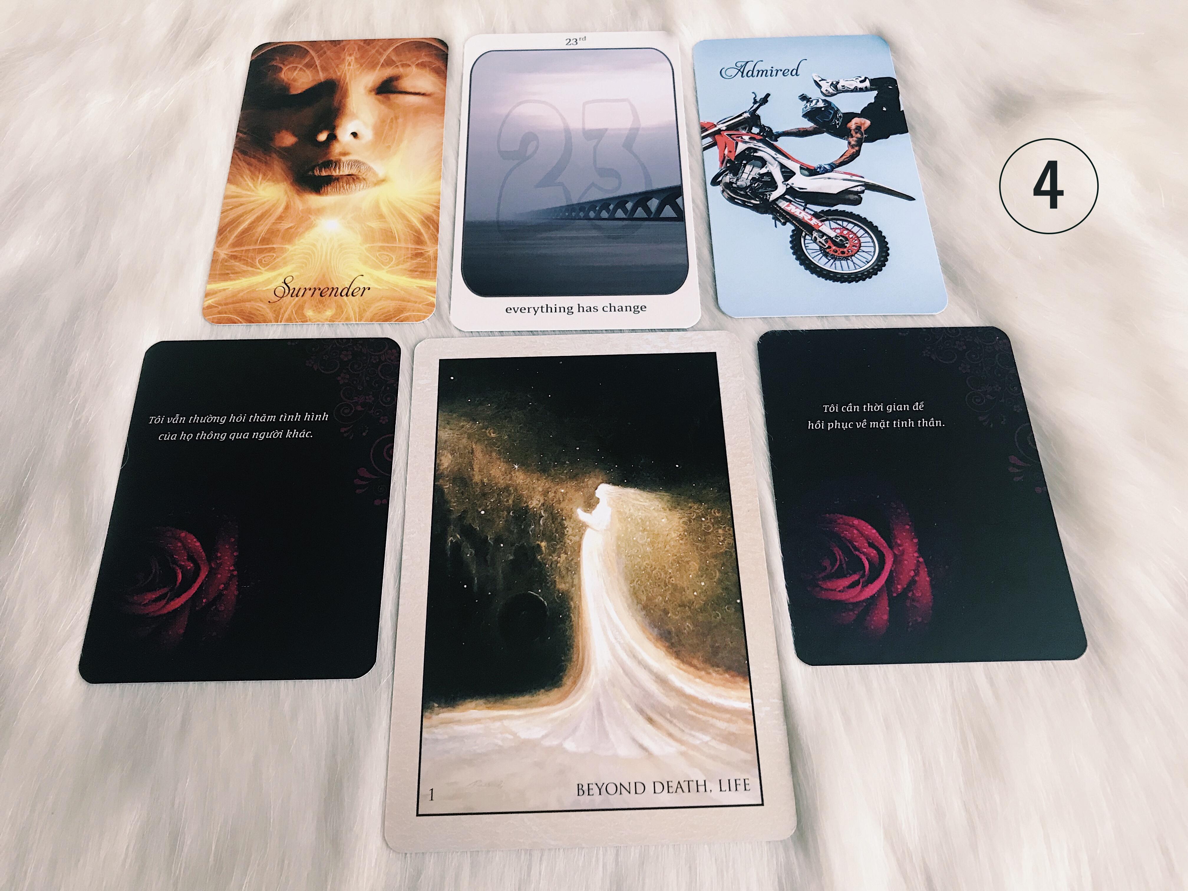 Rút Bài Oracle: Bạn Và Họ Có Nên Làm Lại Từ Đầu?