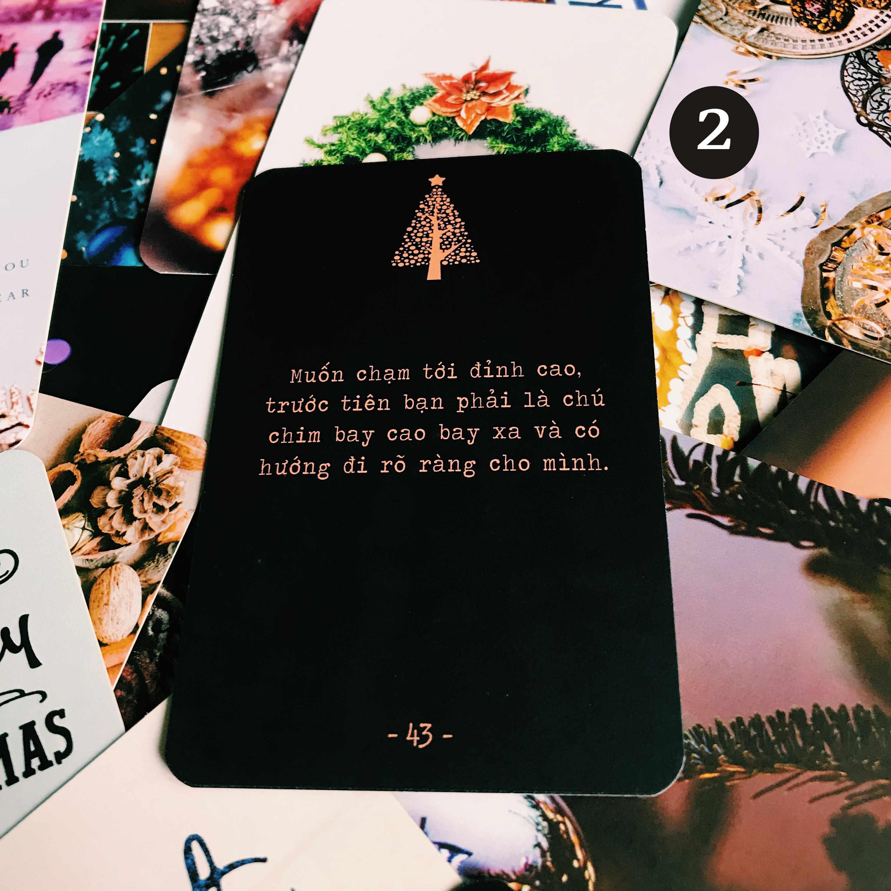 Rút Bài Oracle: Bài Hát Giáng Sinh Dành Cho Bạn?