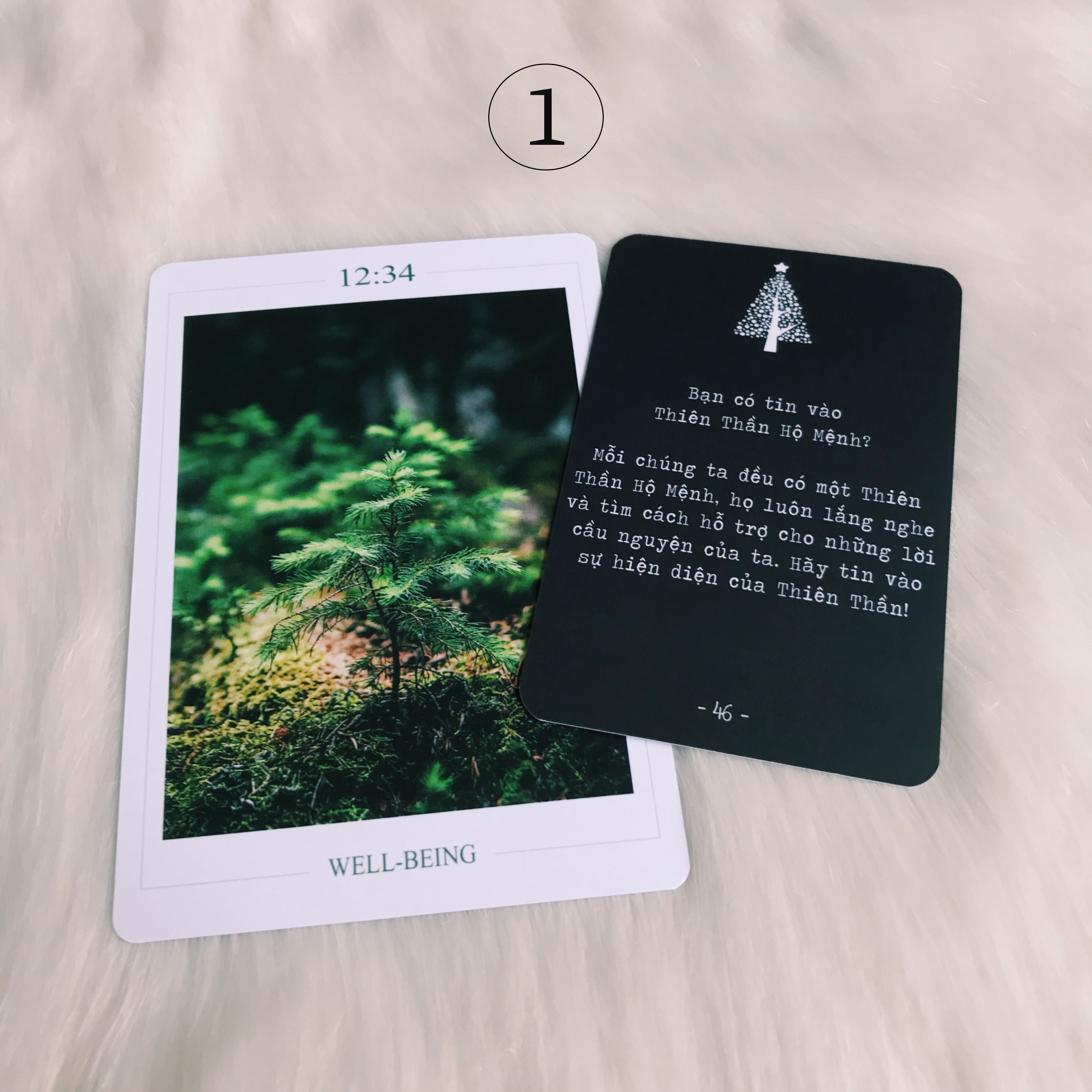 Rút Bài Oracle: Giáng Sinh An Lành – Lời Ban Phước Đêm Giáng Sinh