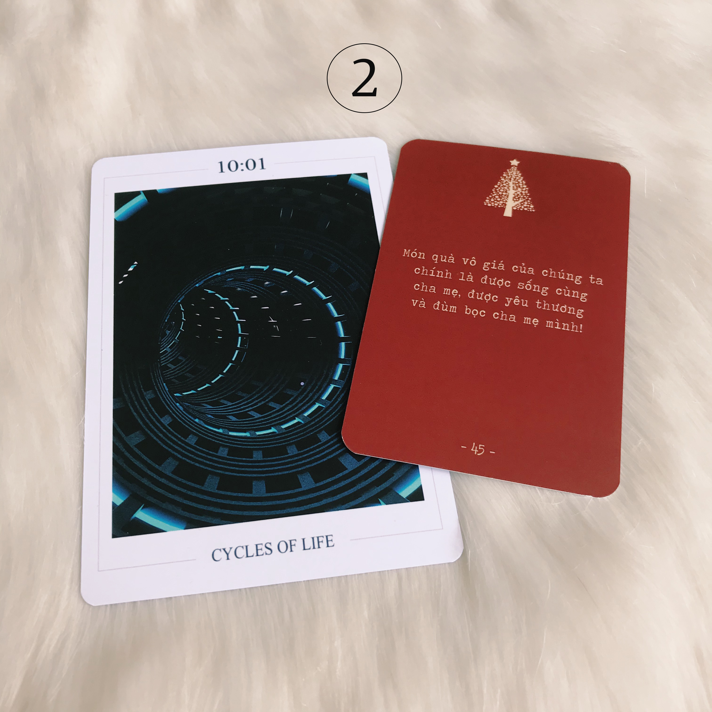 Rút Bài Oracle: Giáng Sinh An Lành – Lời Ban Phước Đêm Giáng Sinh