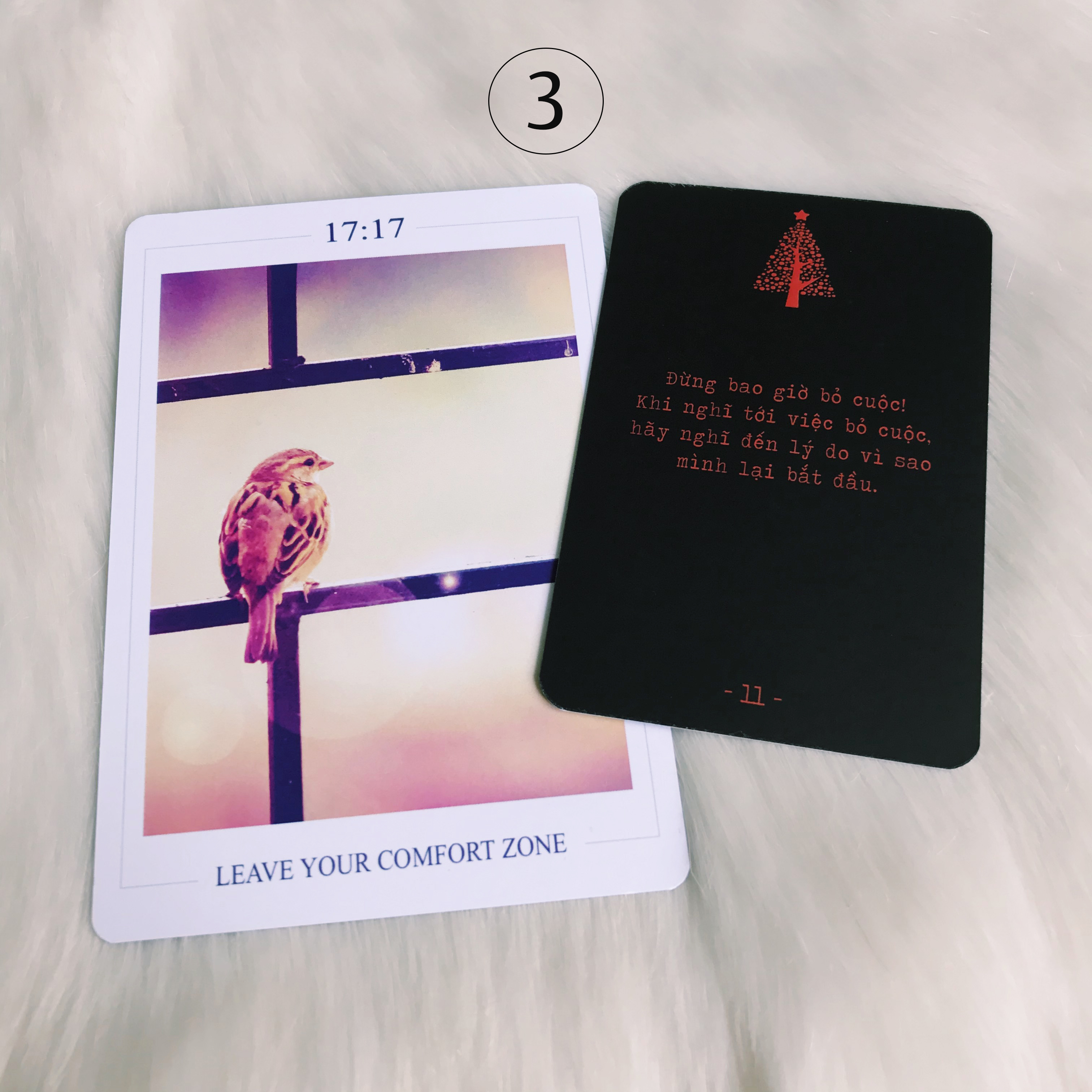 Rút Bài Oracle: Giáng Sinh An Lành – Lời Ban Phước Đêm Giáng Sinh