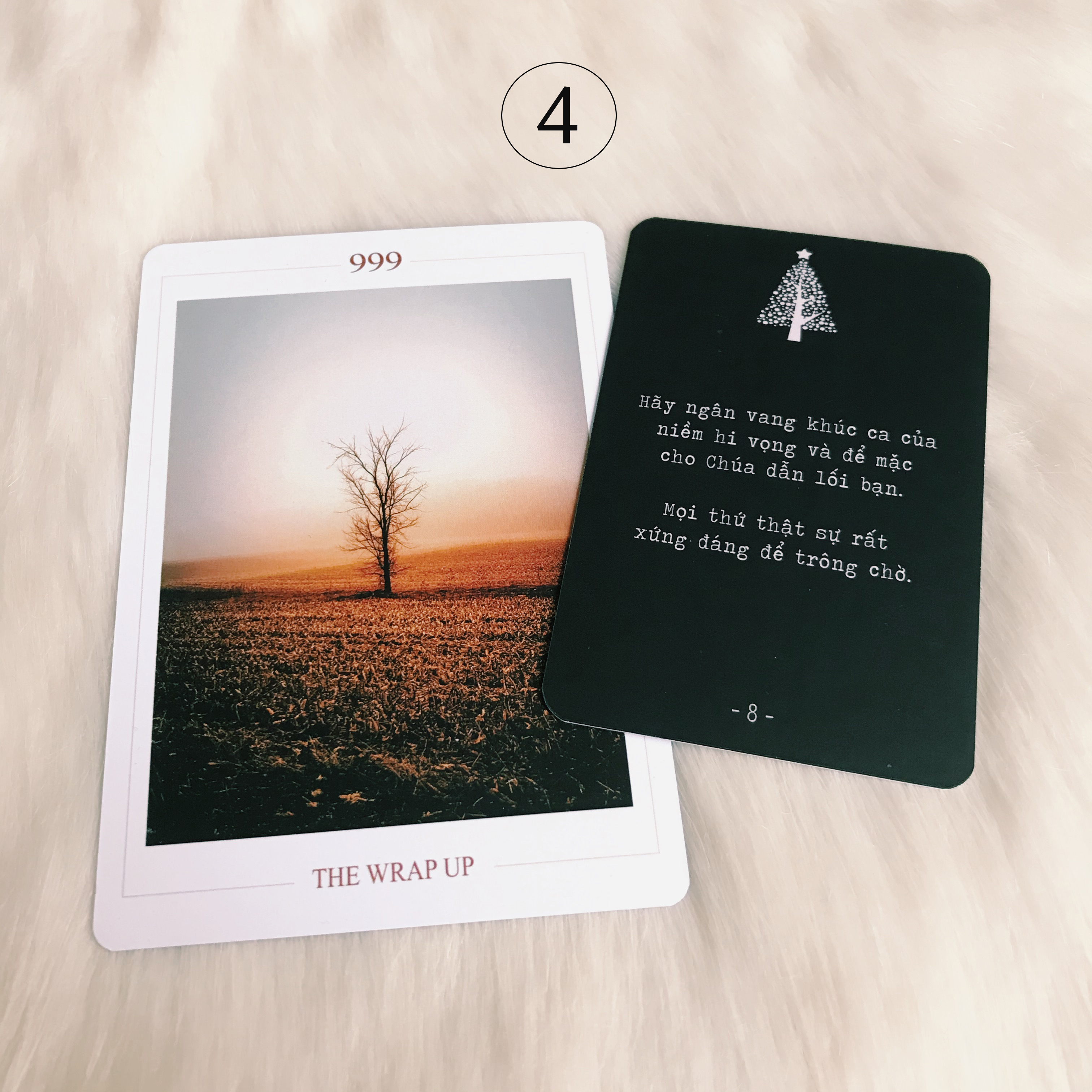 Rút Bài Oracle: Giáng Sinh An Lành – Lời Ban Phước Đêm Giáng Sinh