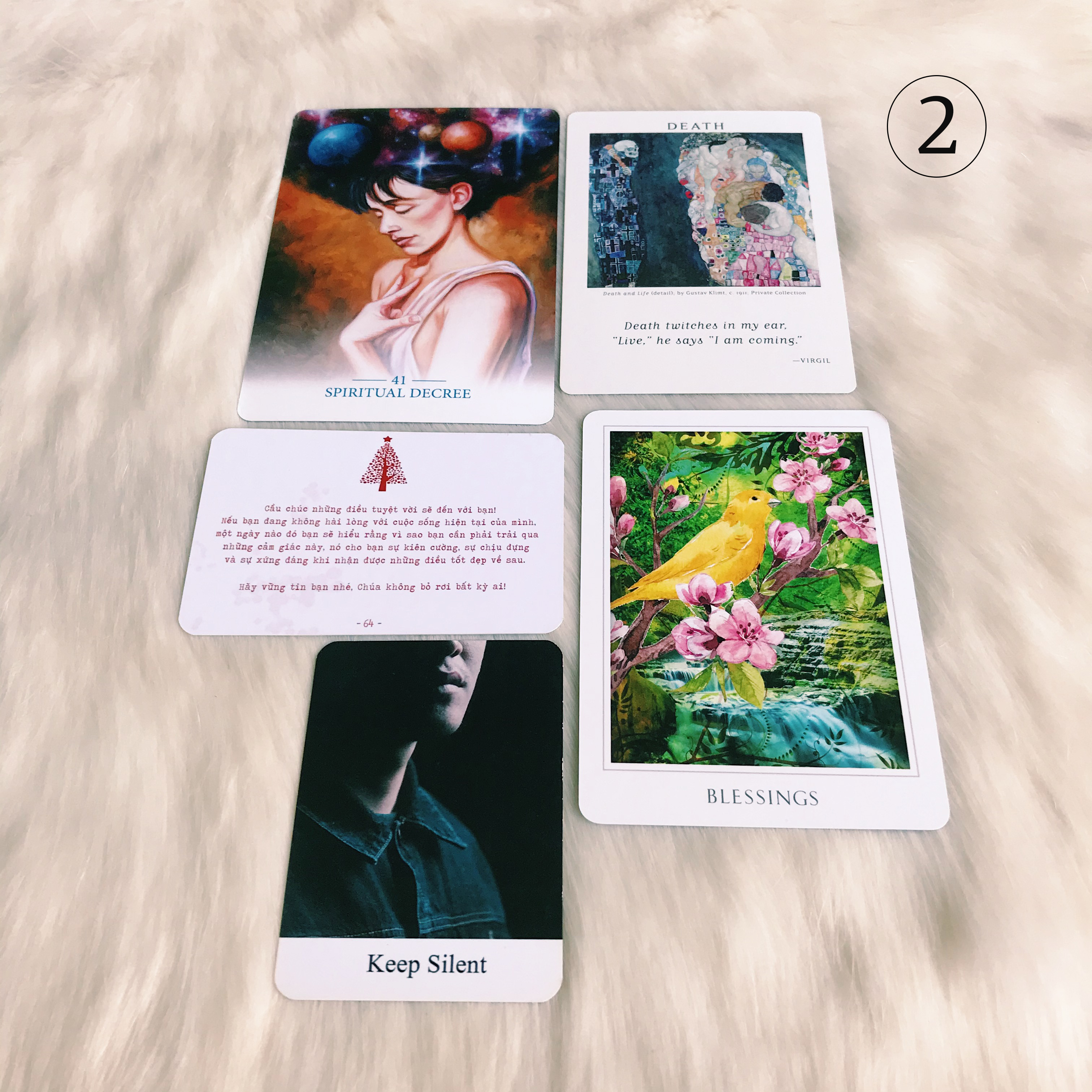 Rút Bài Oracle: Bài Học Năm Cũ – Hành Trình Năm Mới