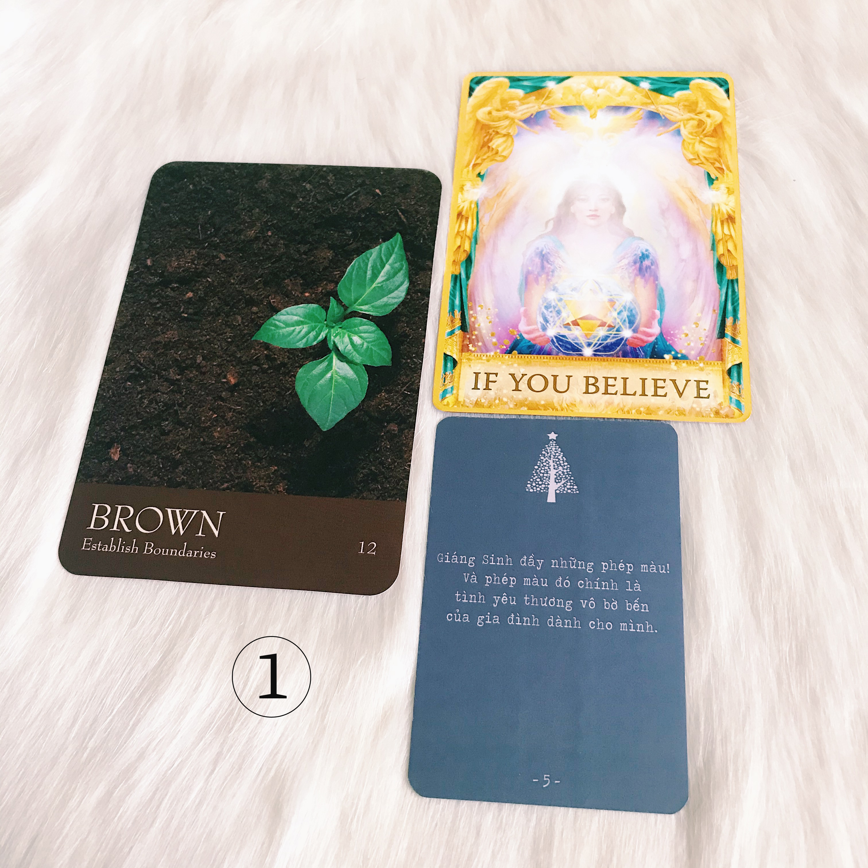 Rút Bài Oracle: Bạn Nên Làm Gì Vào Dịp Giáng Sinh?