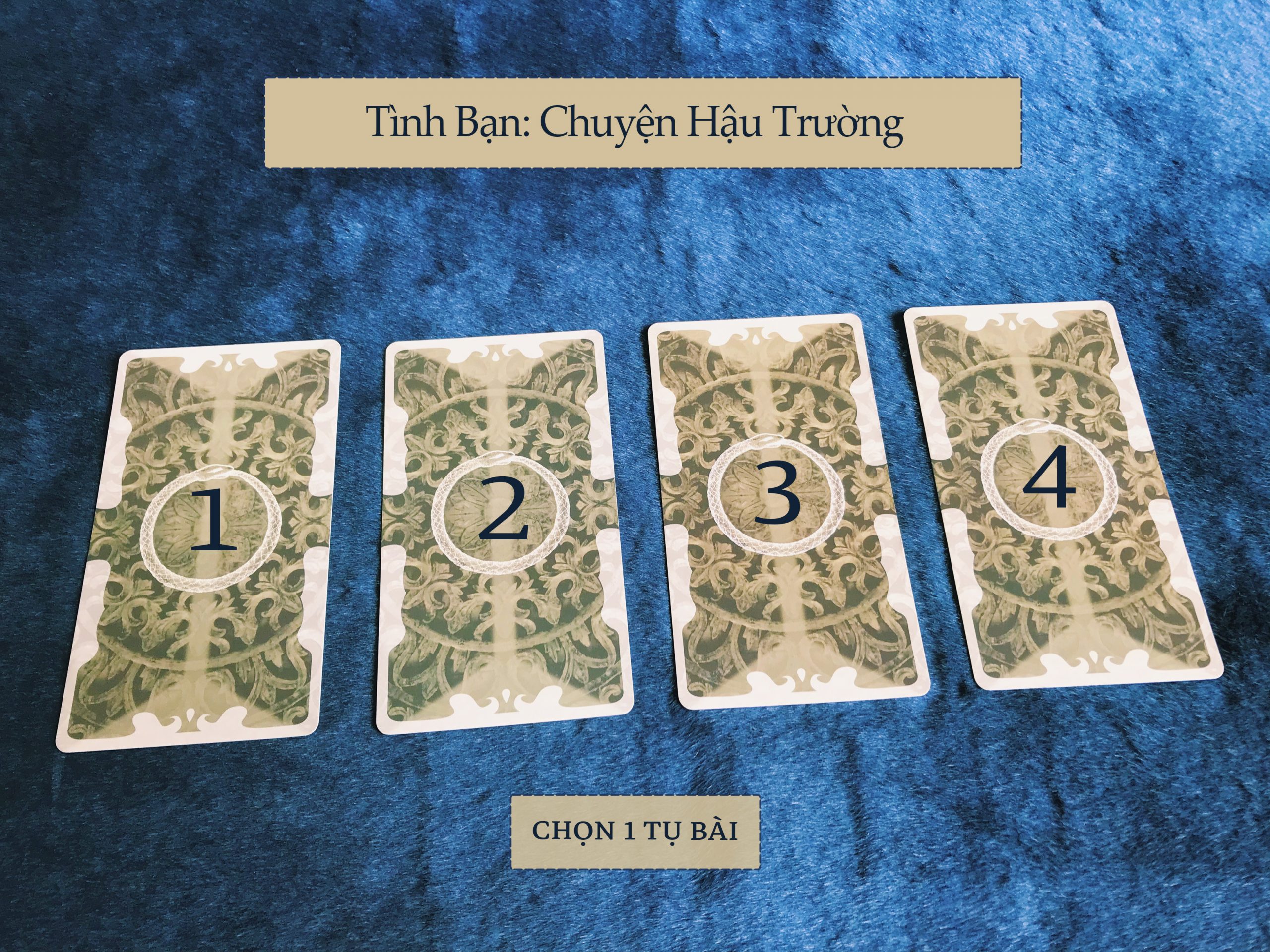 Rút Bài Oracle: Tình Bạn - Chuyện Hậu Trường