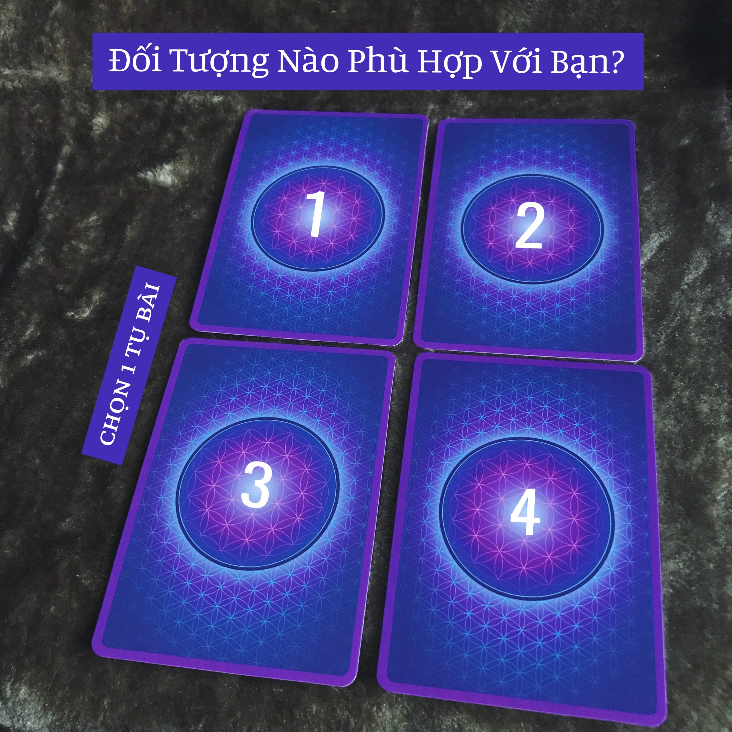 Rút Bài Oracle: Đối Tượng Nào Phù Hợp Với Bạn?