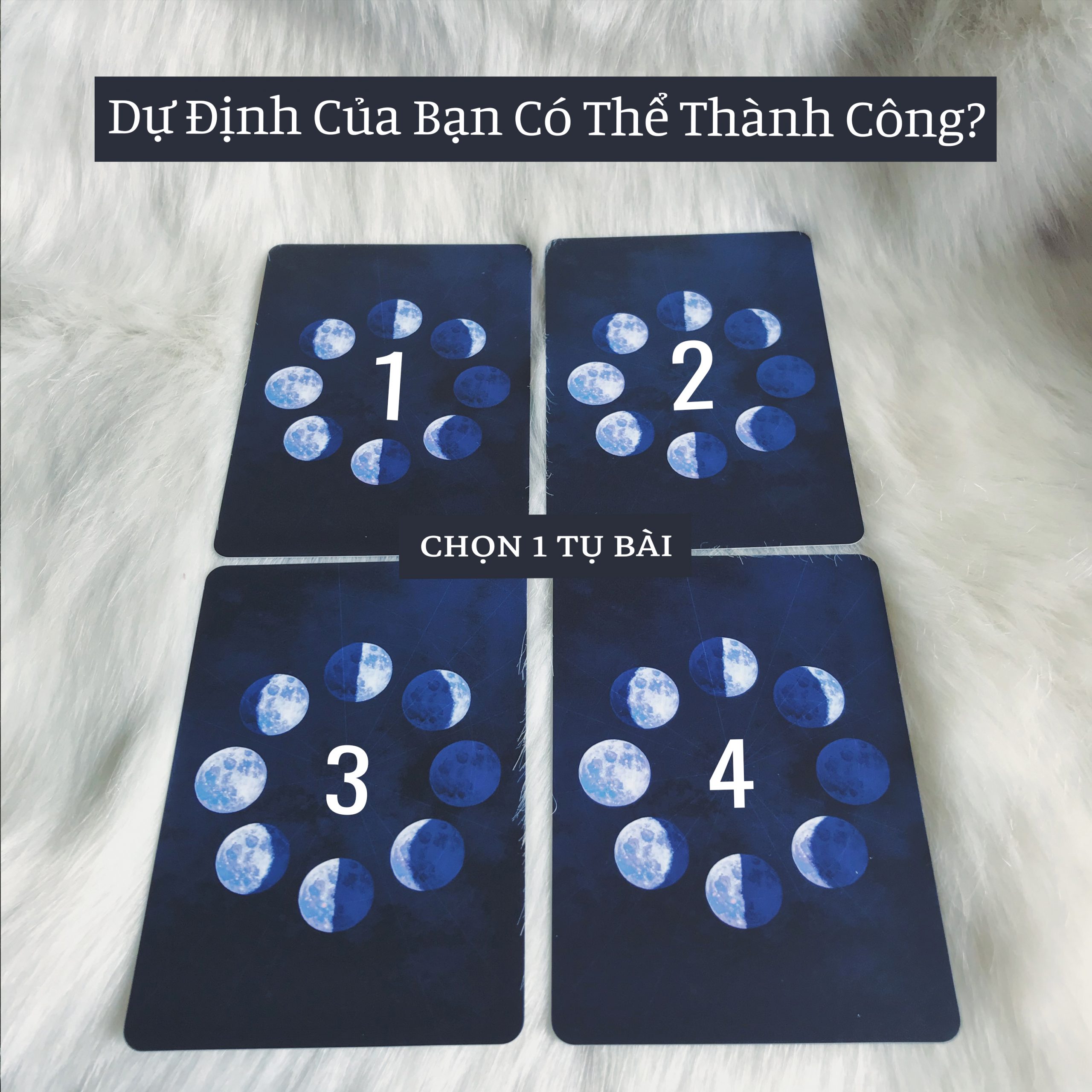 Rút Bài Oracle: Dự Định Của Bạn Có Thể Thành Công?