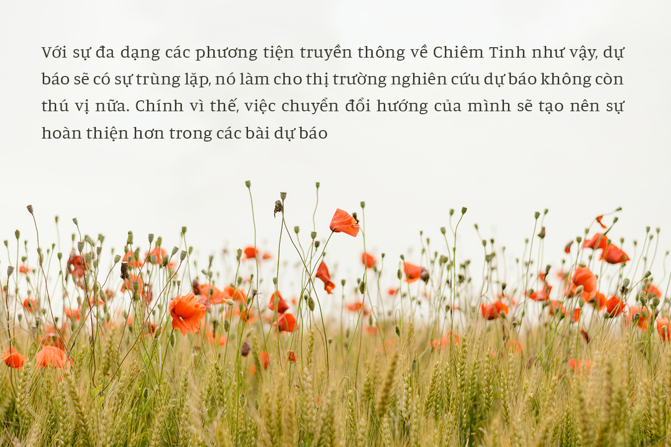 Ảnh: unsplash.com Edit: Nguyễn Hiếy