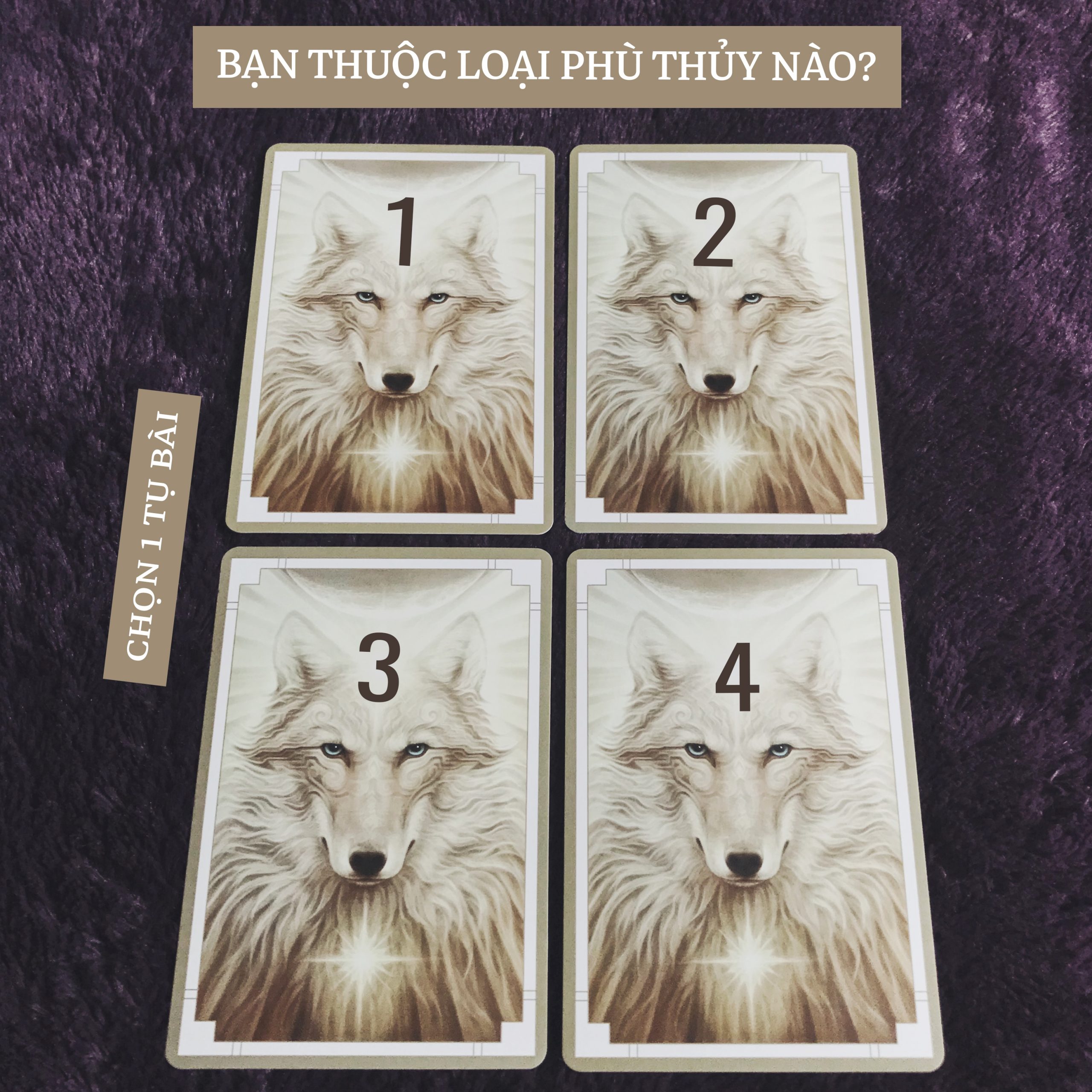Rút Bài Oracle: Bạn Thuộc Loại Phù Thủy Nào?