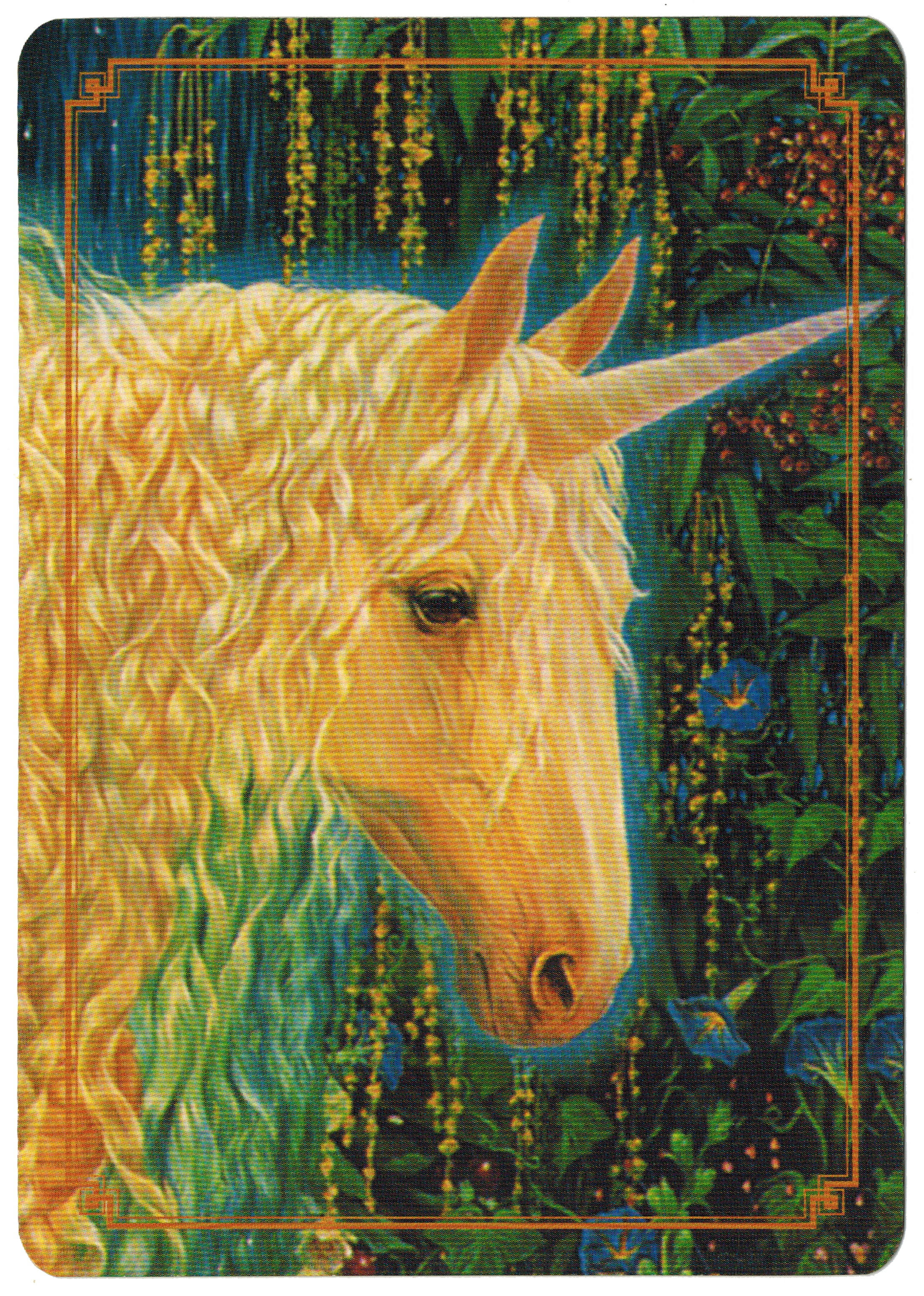 Rút Bài Oracle: Những Thay Đổi Trong Năm 2021 Dành Cho Bạn