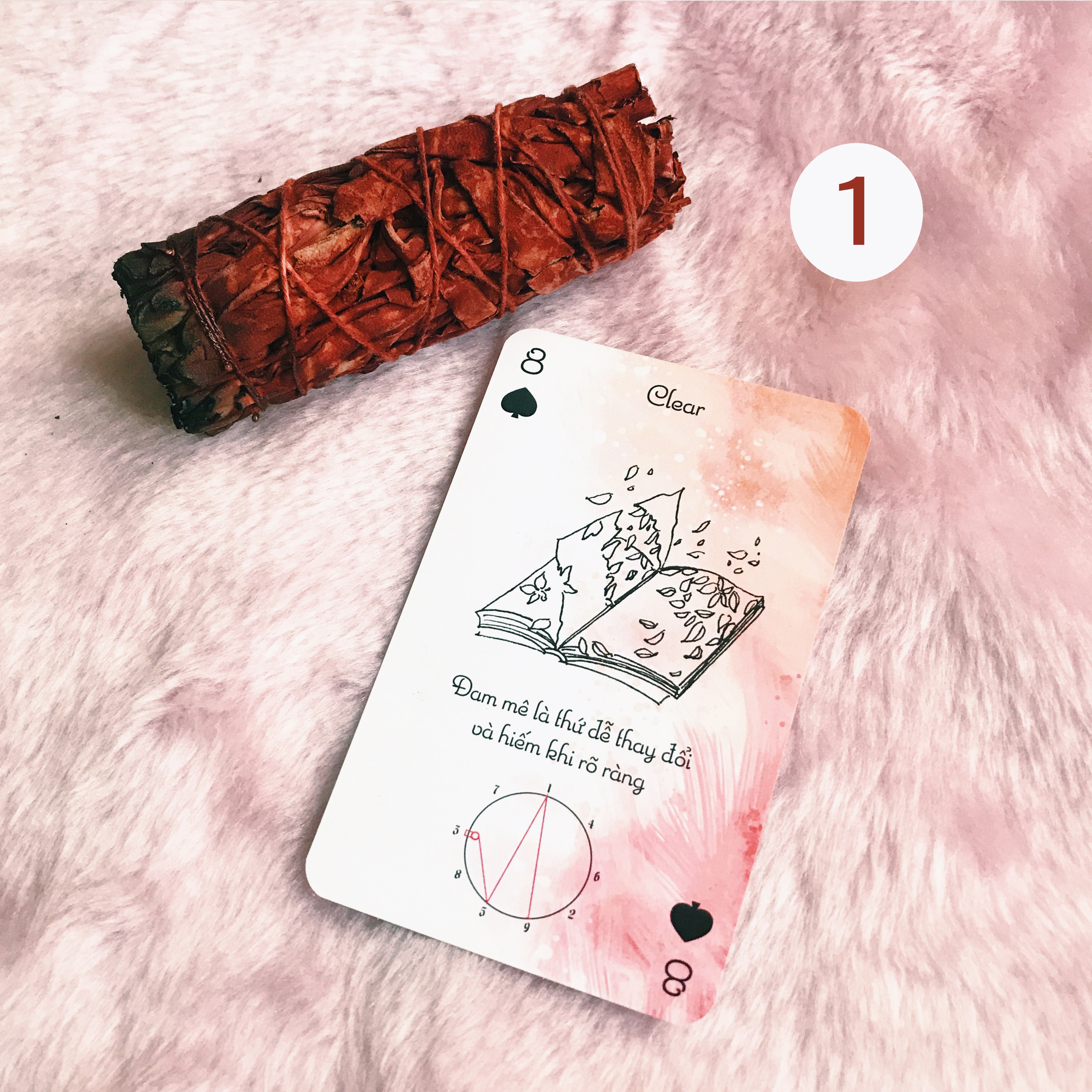 Rút Bài Oracle: Thông Điệp Trước Năm Mới