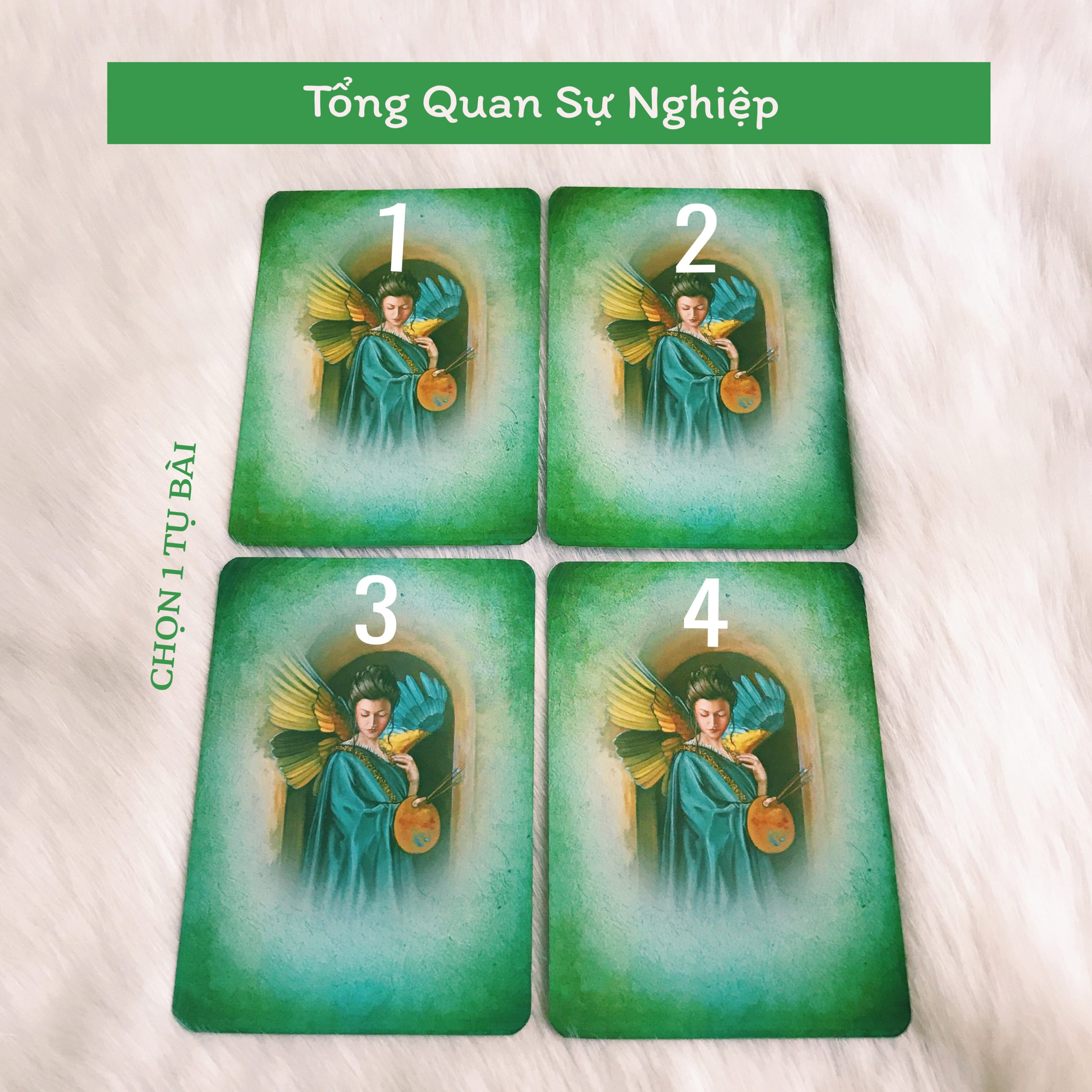 Rút Bài Oracle: Thông Điệp Sự Nghiệp