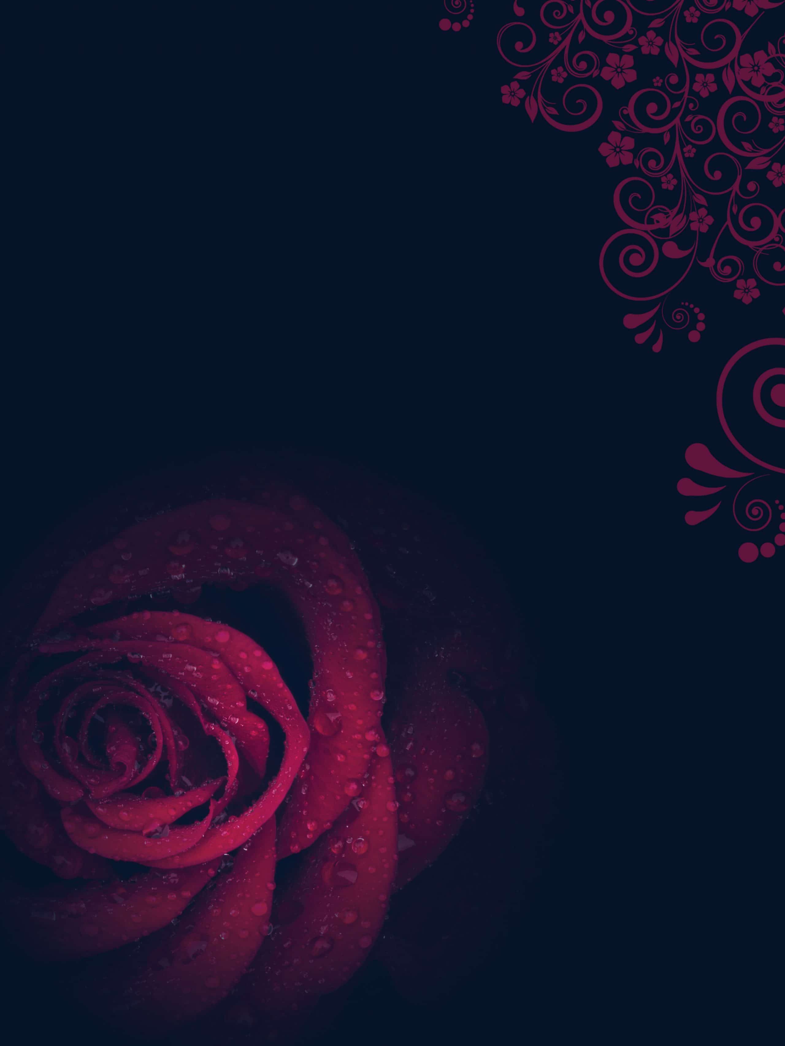 Rút Bài Oracle: Lời Tỏ Tình Ngày Valentine Trắng